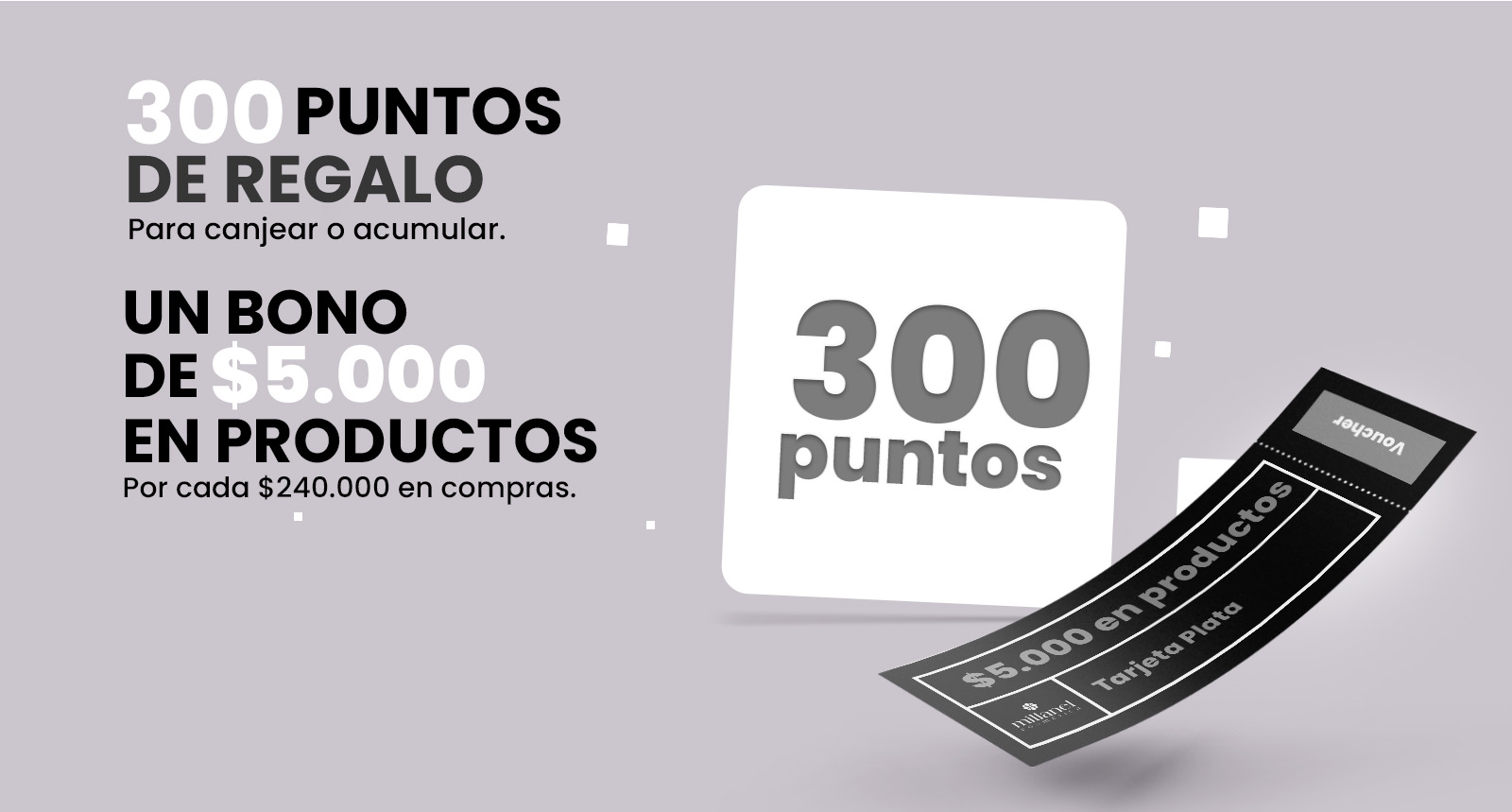 TB Desk PLATA Puntos